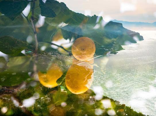 Da Salvatore B&B Ravello Ngoại thất bức ảnh